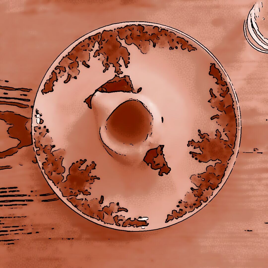 Schokoladentorte mit Sauerkirschsorbet auf einem Vintage-Teller mit grünem Blumen- und gelbem Blütenmuster, serviert auf einem Holztisch im Restaurant Michelberger.